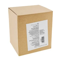 Department 56 Love The Gnome You'Re With< Snowpinions